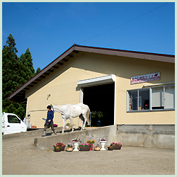 あきた乗馬クラブ メインステーブル