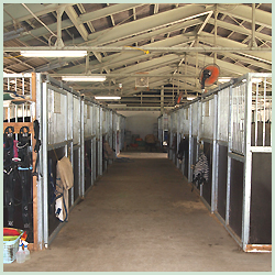 あきた乗馬クラブ 厩舎