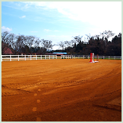 あきた乗馬クラブ メイン馬場