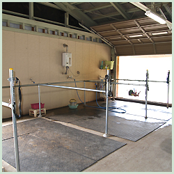 あきた乗馬クラブ 洗い場