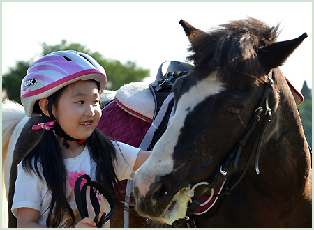 ポニースクール