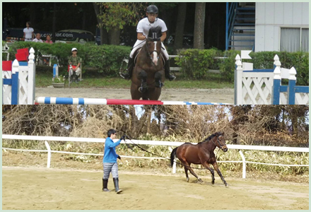 引退競走馬のセカンドキャリア リトレーニング