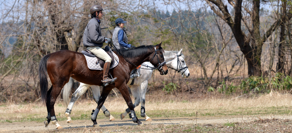あきた乗馬クラブのホームページです。