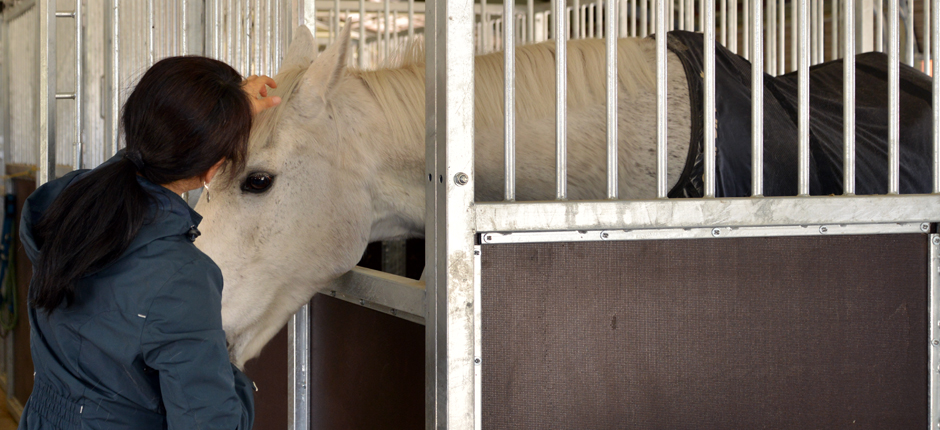 あきた乗馬クラブのホームページです。